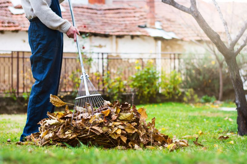 Yard Raking Service