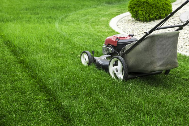 Black Friday Lawn Care Deals