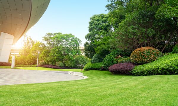 Cost of Commercial Lawn Mowing in Iowa City