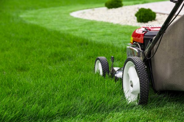 Cost of Grass Cutting Service in Iowa City