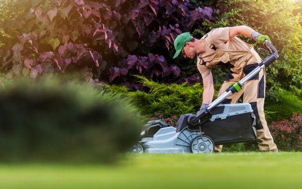 Cost of Lawn Care And Maintenance in Iowa City