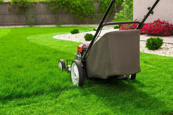 Cost of Lawn Mowing in Iowa City