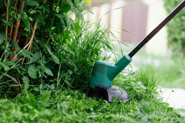 Cost of Weed Whacking in Iowa City