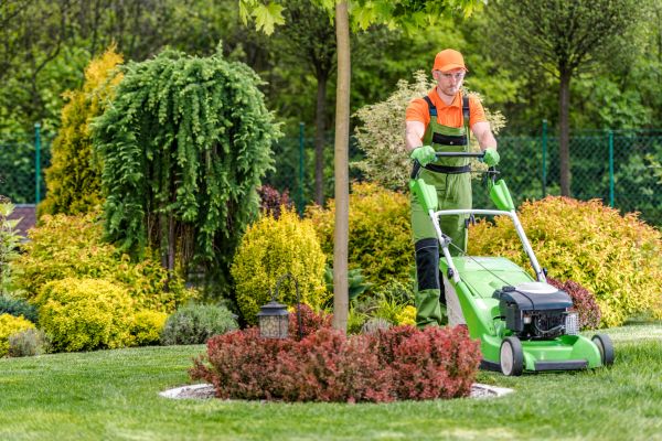 Cost of Yard Service in Iowa City