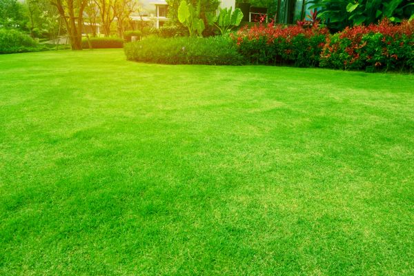 Cost of Grass Maintenance in Iowa City