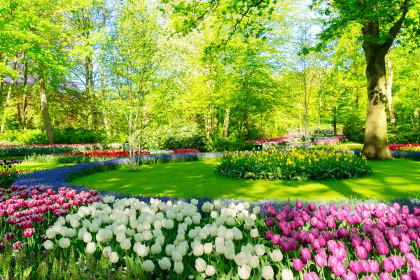Cost of Spring Lawn Care in Iowa City