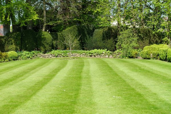 Cost of Grass Care Service in Iowa City