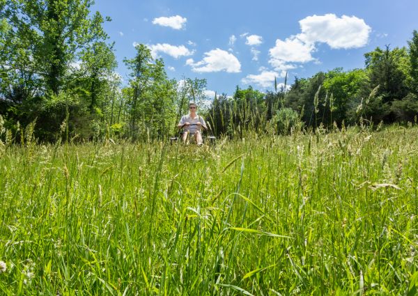 Long Grass Mowing in Iowa City