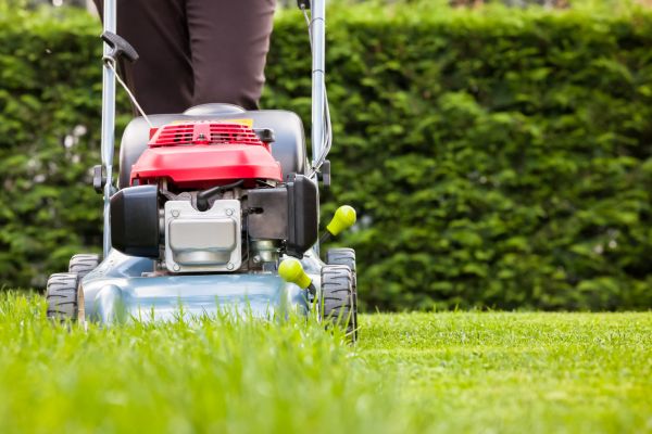 Cost of Grass Trimming Service in Iowa City