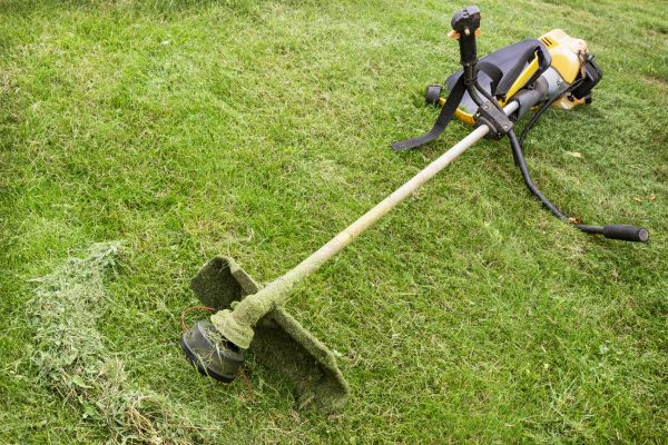 Cost of Hillside Weed Whacking in Iowa City