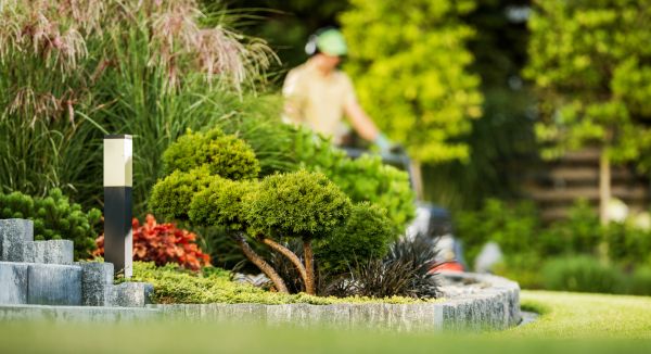Residential Yard Maintenance in Iowa City