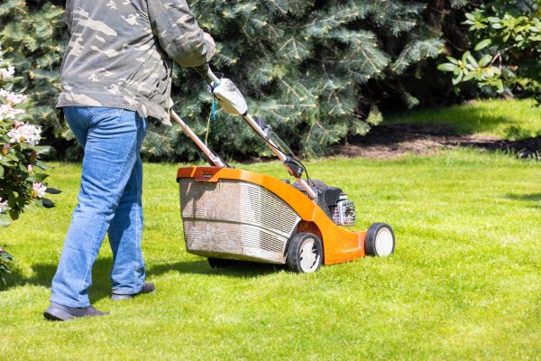 Cost of Springtime Lawn Care in Iowa City
