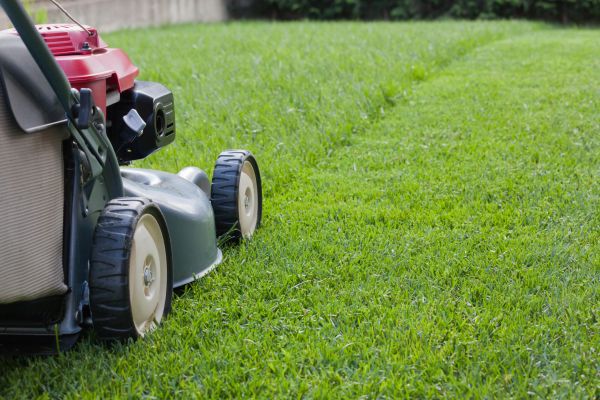 Cost of Spring Lawn Maintenance in Iowa City