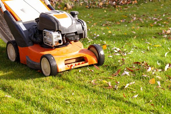 Cost of Fall Mowing in Iowa City